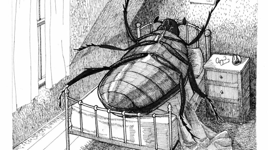 gregor samsa